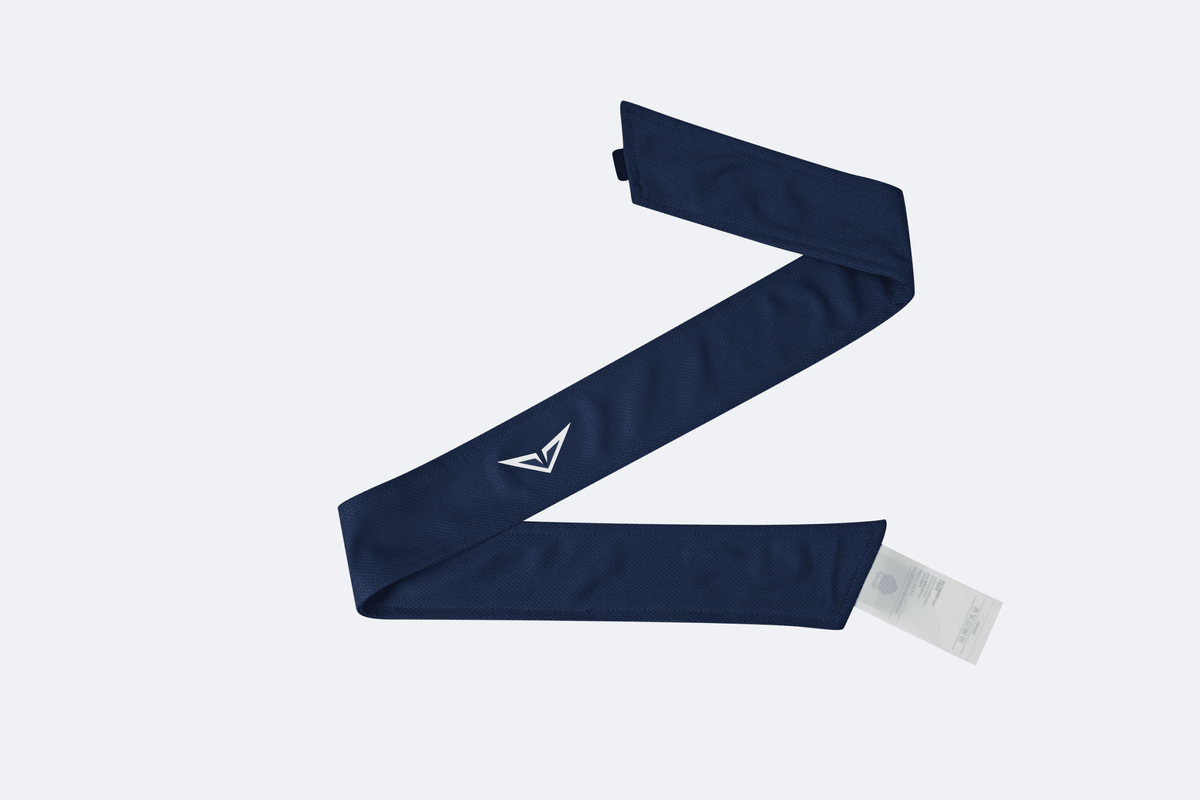 HB015-407 | RBLV HEADBAND | STARGAZER